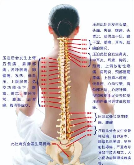 保護腰椎—示范腰椎保健操，趕快收藏吧